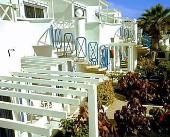 Livvo Oasis *